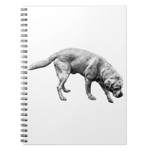 Pages of Devotion Notebook