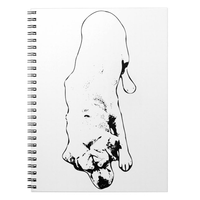 Pages of Respect Notebook (Front)