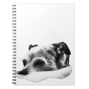 Pages of Stillness Notebook