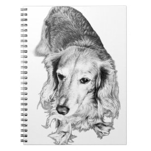 Pages with Presence – Long-Haired Dachshund Notebook