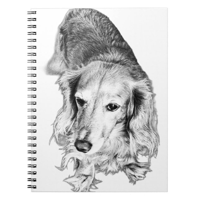 Pages with Presence – Long-Haired Dachshund Notebook (Front)