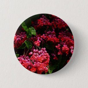 Pagoda Flowers Colourful Red and Pink 6 Cm Round Badge