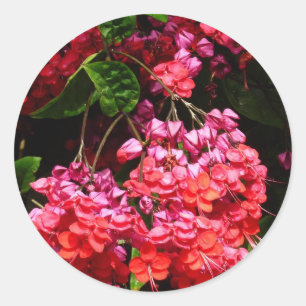 Pagoda Flowers Colourful Red and Pink Classic Round Sticker