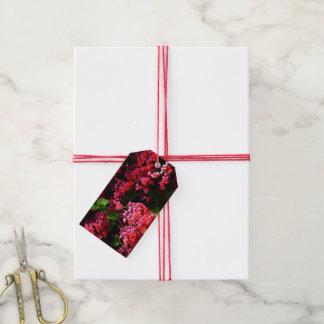Pagoda Flowers Colourful Red and Pink Gift Tags