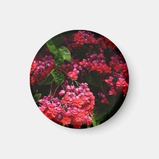 Pagoda Flowers Colourful Red and Pink Magnet
