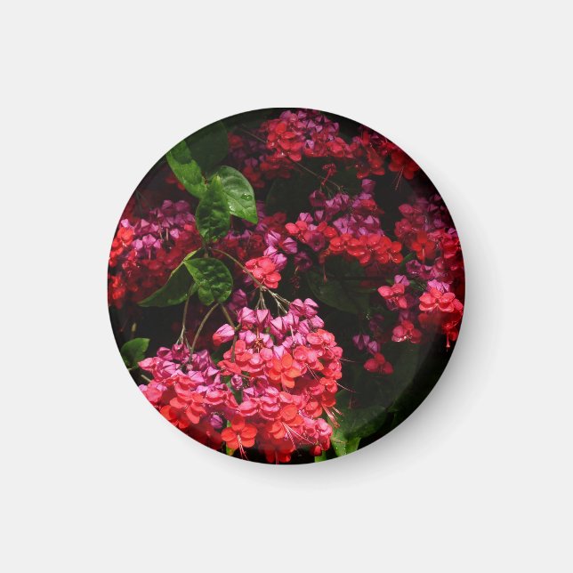 Pagoda Flowers Colourful Red and Pink Magnet (Front)
