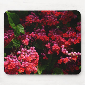 Pagoda Flowers Colourful Red and Pink Mouse Pad