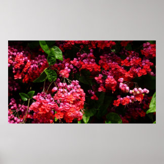 Pagoda Flowers Colourful Red and Pink Poster
