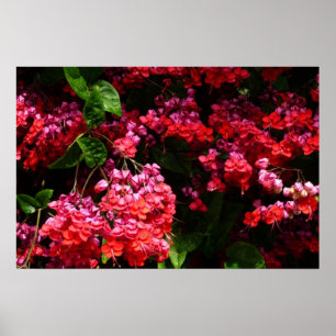 Pagoda Flowers Colourful Red and Pink Poster