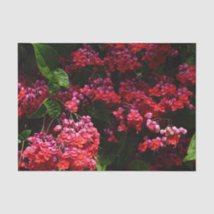 Pagoda Flowers Colourful Red and Pink Tissue Paper