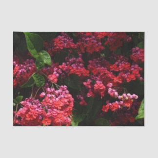 Pagoda Flowers Colourful Red and Pink Tissue Paper