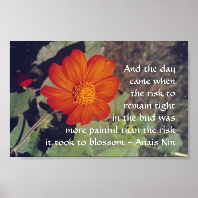 Pain and Risk - Anais Nin - poster (Front)