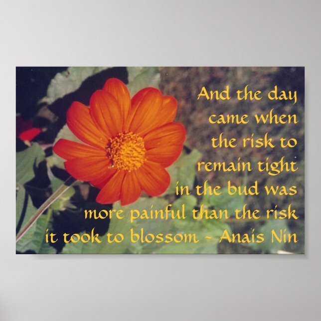Pain and Risk - Anais Nin - poster (Front)