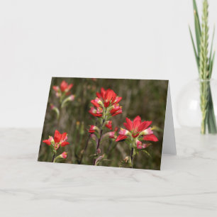 Paint Brush Card