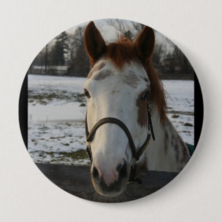 Paint Button