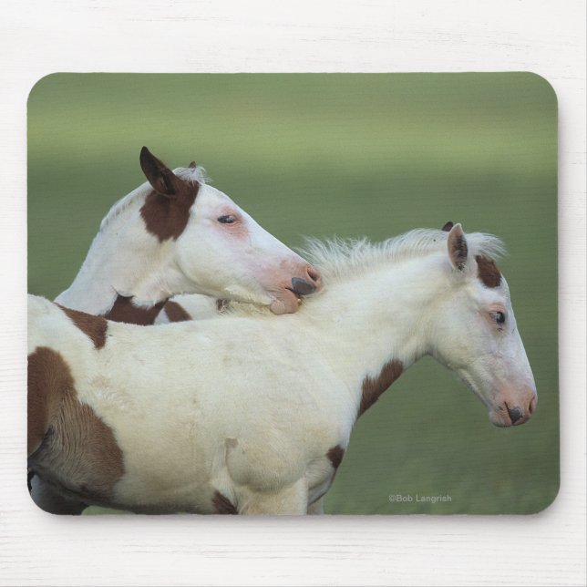 Paint Foals Playing Mouse Pad (Front)