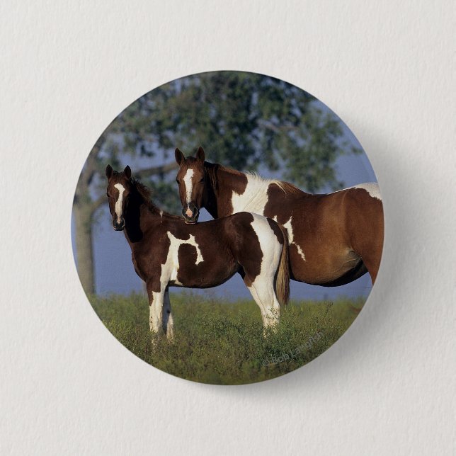 Paint HMare & Foal 6 Cm Round Badge (Front)