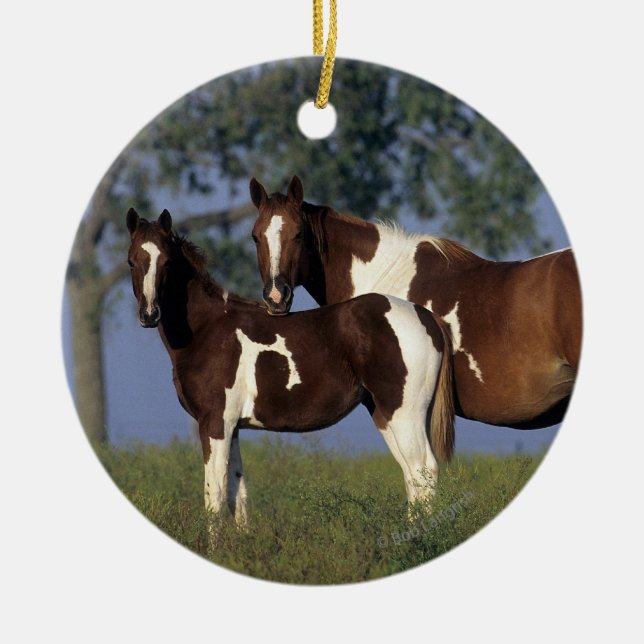 Paint HMare & Foal Ceramic Tree Decoration (Front)