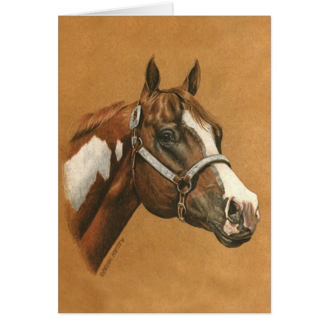 Paint Horse (Front)