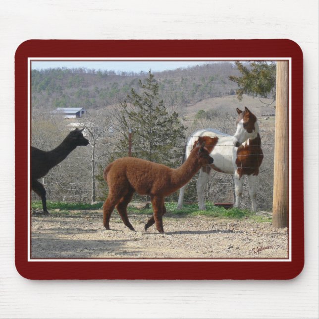 Paint Horse Alpaca Mousepad (Front)