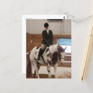 Paint Horse at a Horse Show Postcard