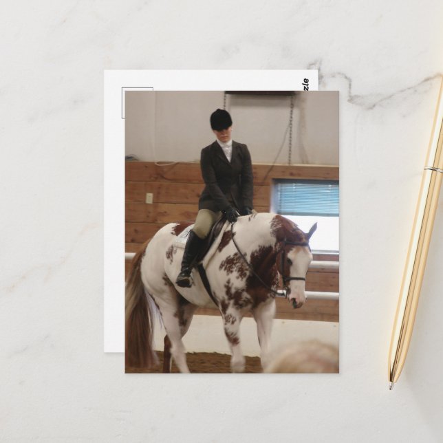 Paint Horse at a Horse Show Postcard (Front/Back In Situ)