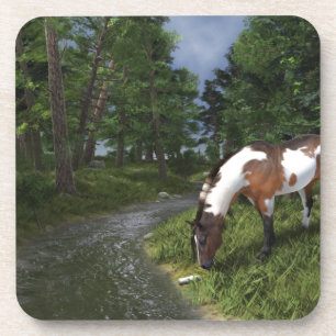 Paint Horse by Forest Stream Coaster