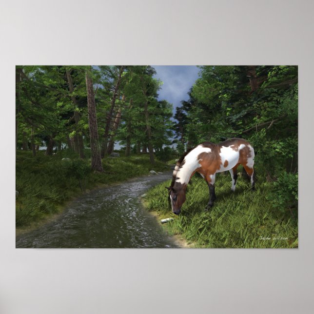 Paint Horse by the Forest Stream Poster (Front)