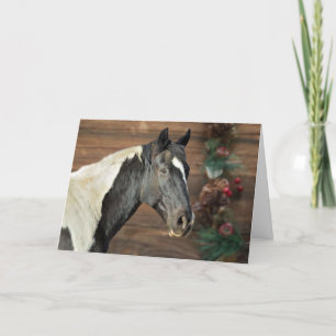 Paint Horse Christmas Card