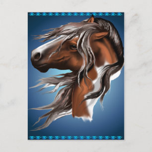 Paint Horse Face Postcard