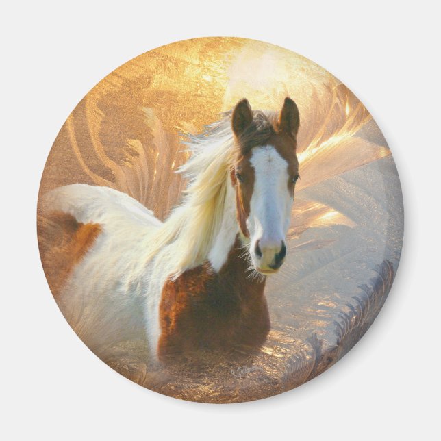 Paint Horse Gold Magnet (Front)