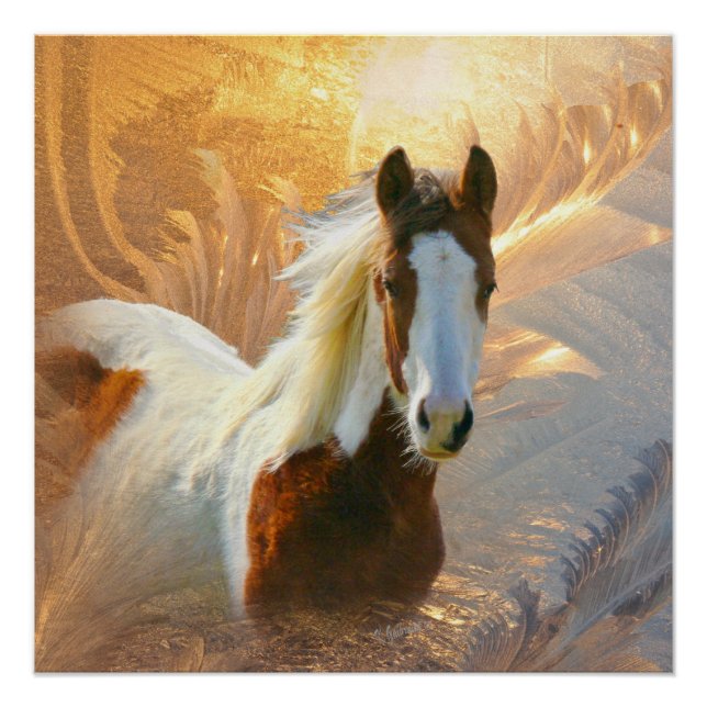 Paint Horse Gold Perfect Poster (Front)