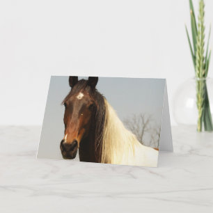 Paint Horse Greeting Card