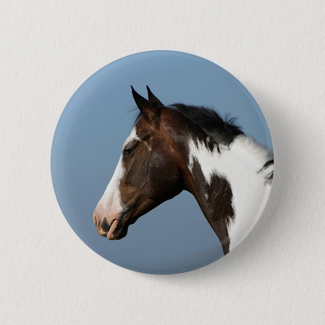 Paint Horse Headshot 1 6 Cm Round Badge (Front)