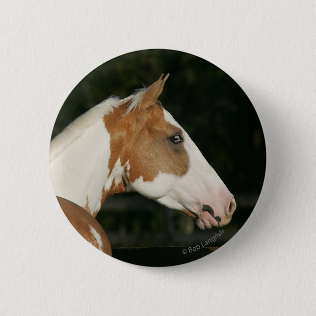 Paint Horse Headshot 2 6 Cm Round Badge (Front)
