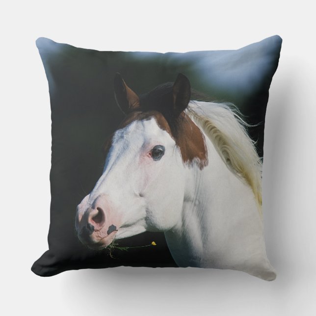 Paint Horse Headshot 3 Cushion (Front)