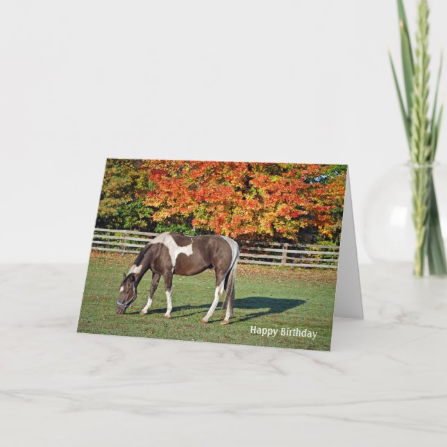 Paint horse in autumn pasture Birthday Card (Front)