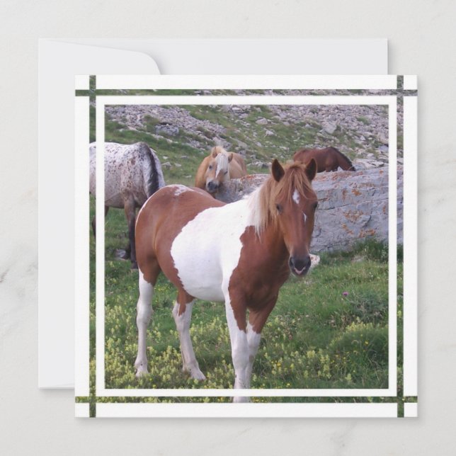 Paint Horse Invitation (Front)