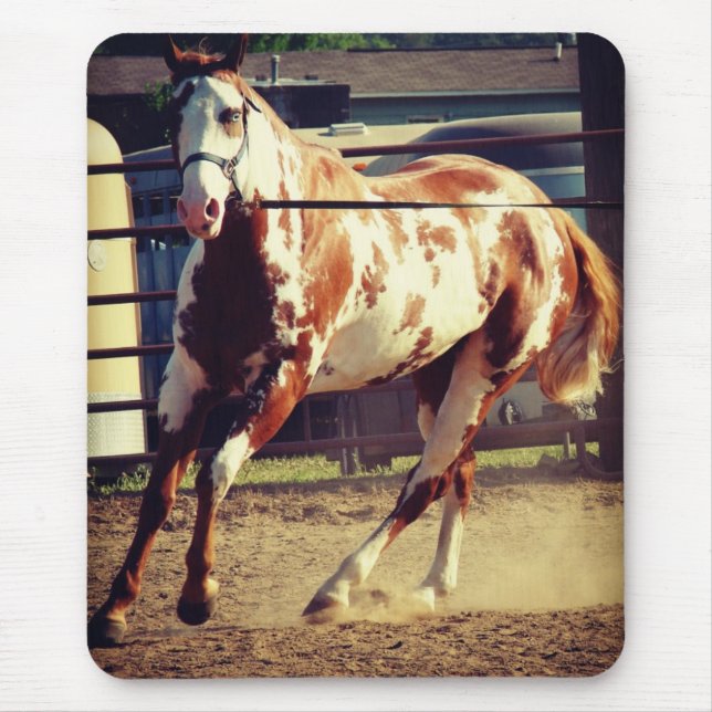 Paint Horse Mouse Pad (Front)