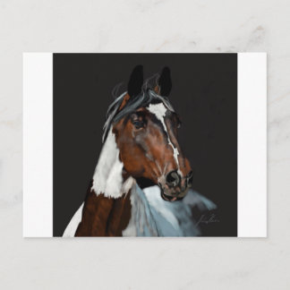 Paint Horse Postcard