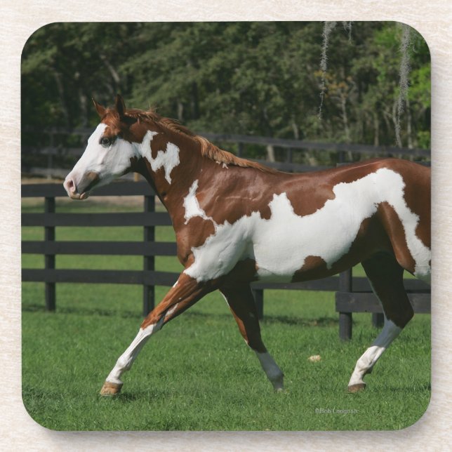 Paint Horse Running 1 Coaster (Front)