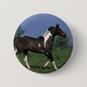 Paint Horse Running 2 6 Cm Round Badge