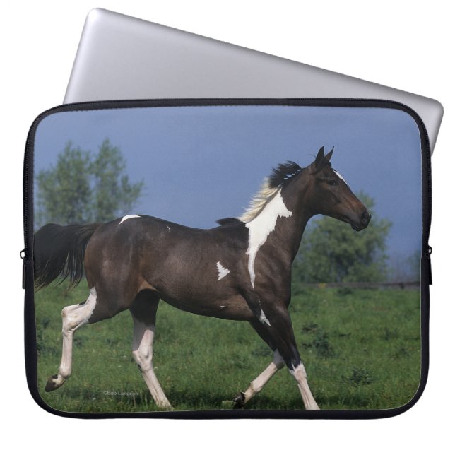 Paint Horse Running 2 Laptop Sleeve (Front)
