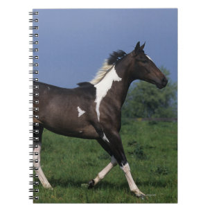 Paint Horse Running 2 Spiral Notebook