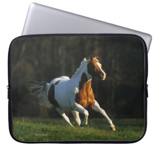 Paint Horse Running Fast Laptop Sleeve