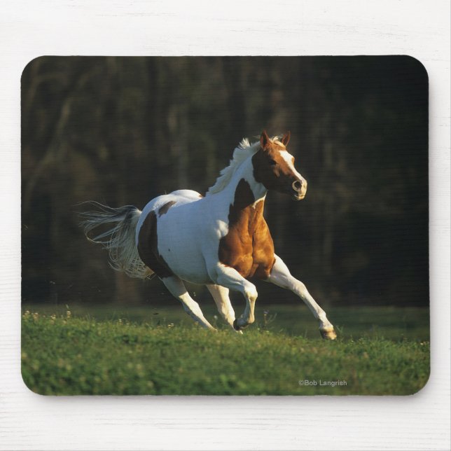 Paint Horse Running Fast Mouse Pad (Front)