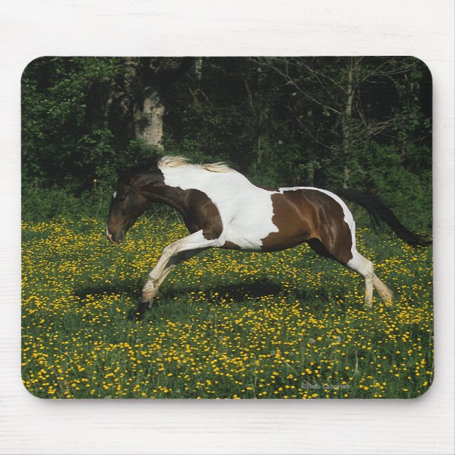 Paint Horse Running in Field of Flowers Mouse Pad (Front)