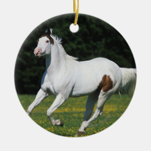 Paint Horse Running in Grassy Field Ceramic Tree Decoration