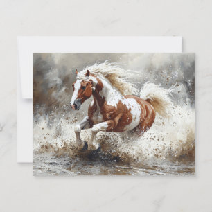 Paint Horse Running Through Water Postcard