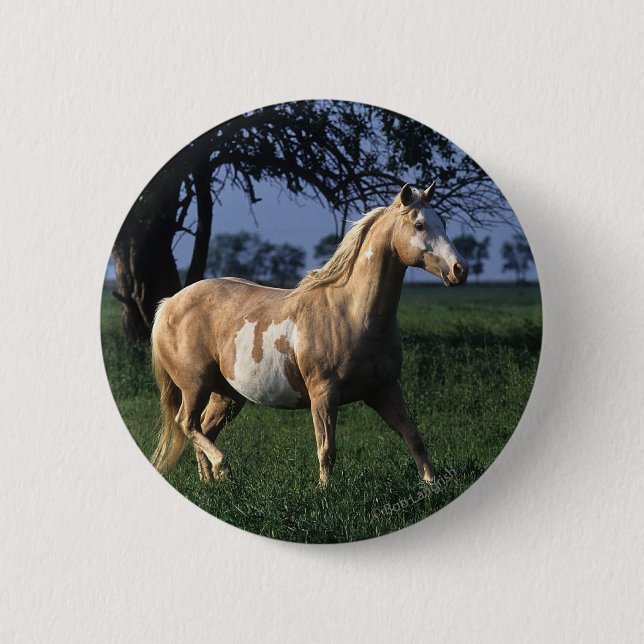 Paint Horse Standing 2 6 Cm Round Badge (Front)